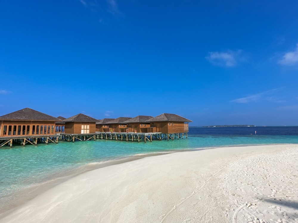 brown wooden houses on sea at daytime