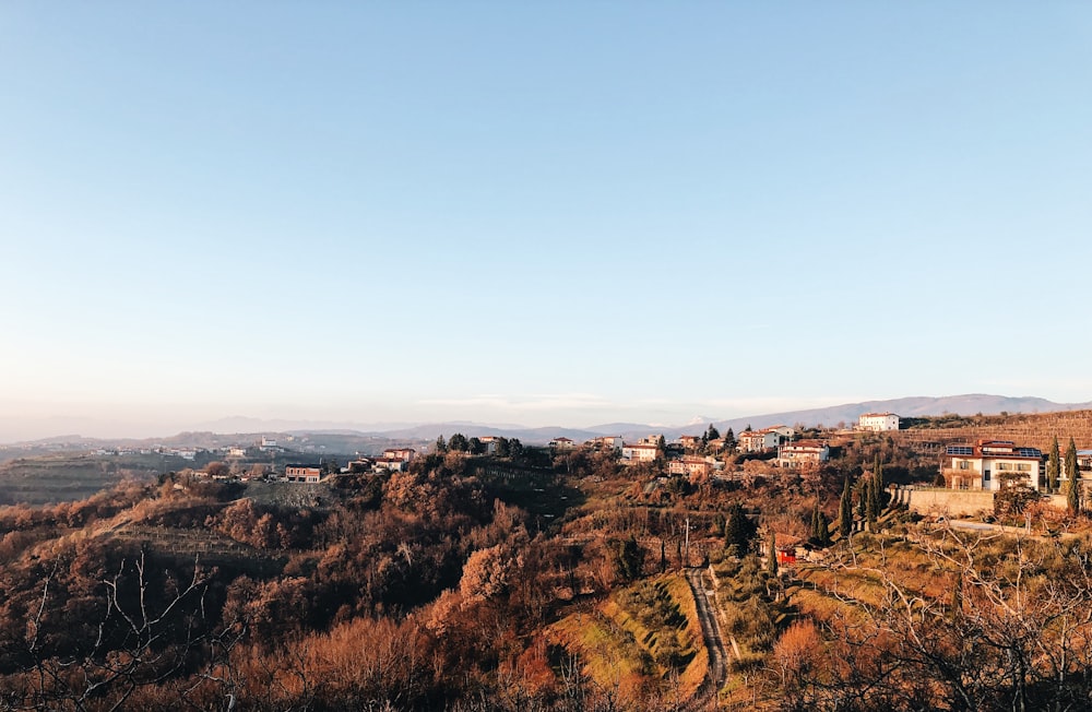 aerial view of houses on top of hill