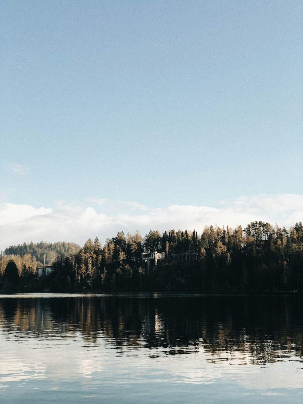 green leaf trees reflecting on body of water