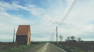 A rural landscape features a narrow road flanked by agricultural fields. On the left, a small brick structure with a tiled roof stands alone. Power lines stretch alongside the road, disappearing into the horizon. Leafless trees are scattered in the distance under a vast, cloudy sky.