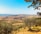 A scenic landscape with rolling hills and a clear blue sky. Olive trees are scattered across the sloping terrain, with a small village visible in the distant background. The sunlight casts warm tones over the earth, highlighting the natural beauty of the countryside.