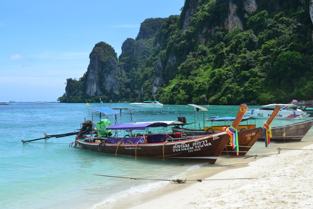 three passenger boats on seashore