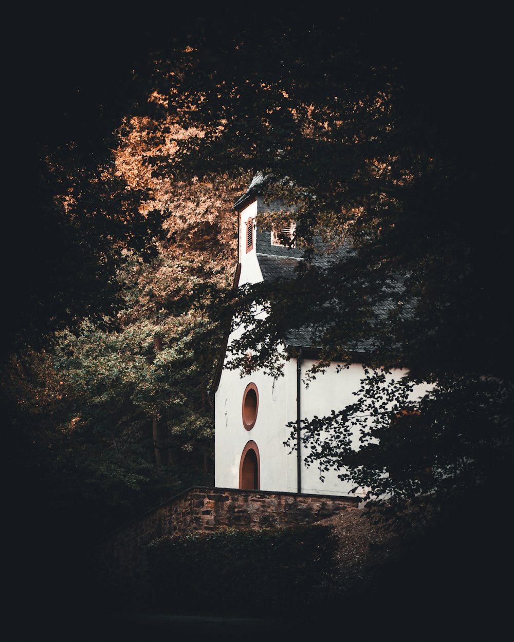 Maison en béton blanc à côté des arbres