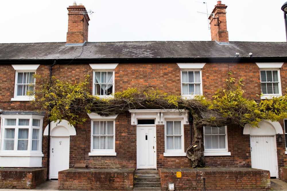 brown concrete 2-storey house