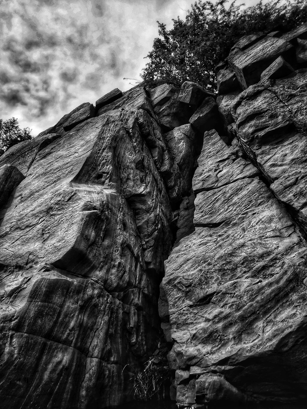 grayscale photo of rocks and tree under cloudy sky