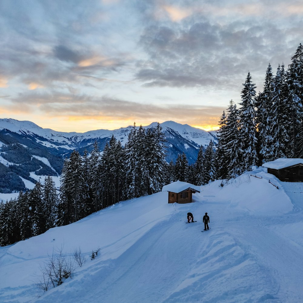 snow covered house beside green pine trees