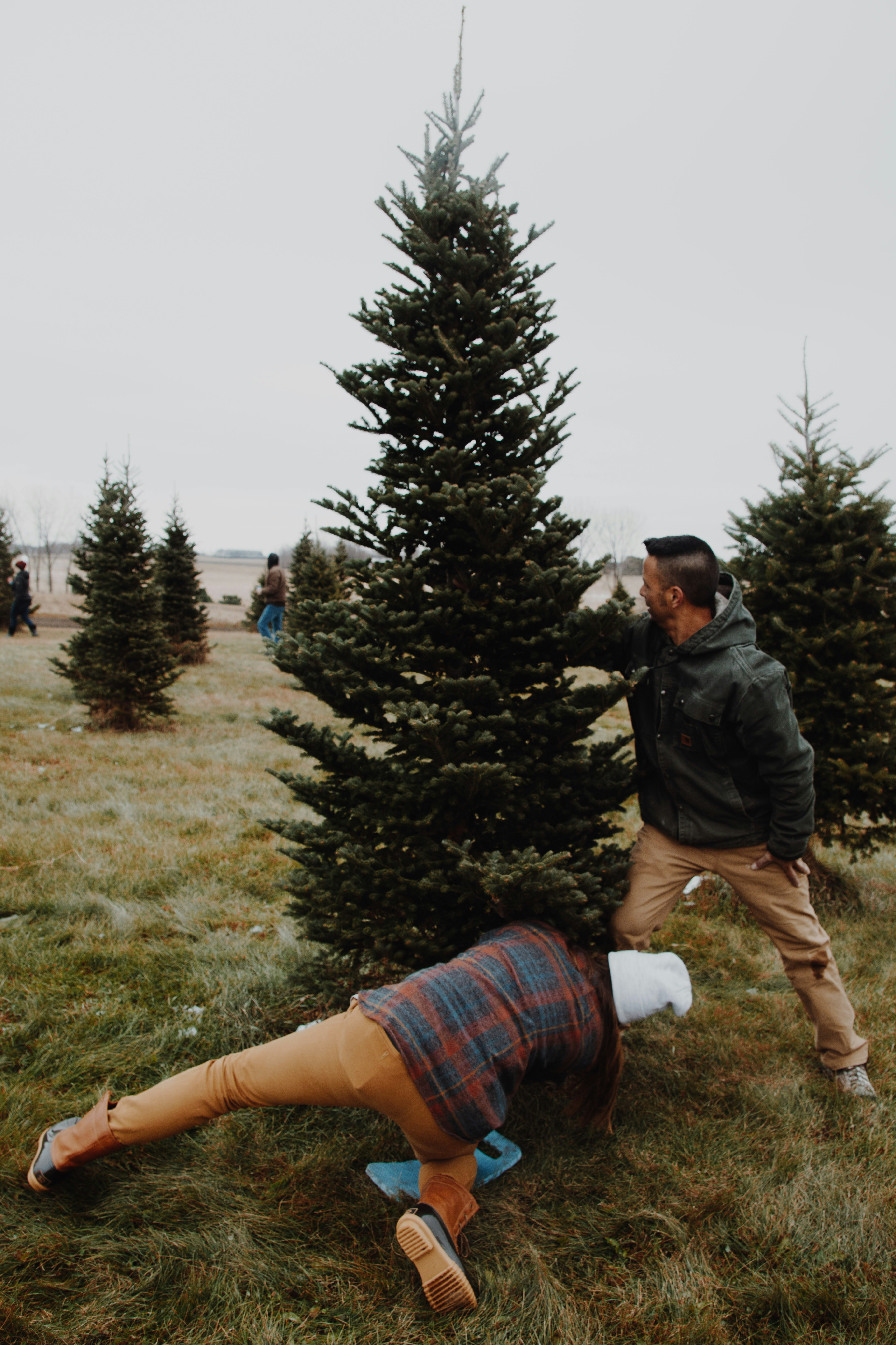 two men standing beside pine trees