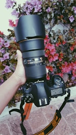 A hand holding a Nikon DSLR camera with an attached large lens in front of a background filled with vibrant pink and purple flowers.