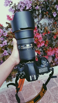A hand holding a Nikon DSLR camera with an attached large lens in front of a background filled with vibrant pink and purple flowers.