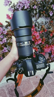 A hand holding a Nikon DSLR camera with an attached large lens in front of a background filled with vibrant pink and purple flowers.