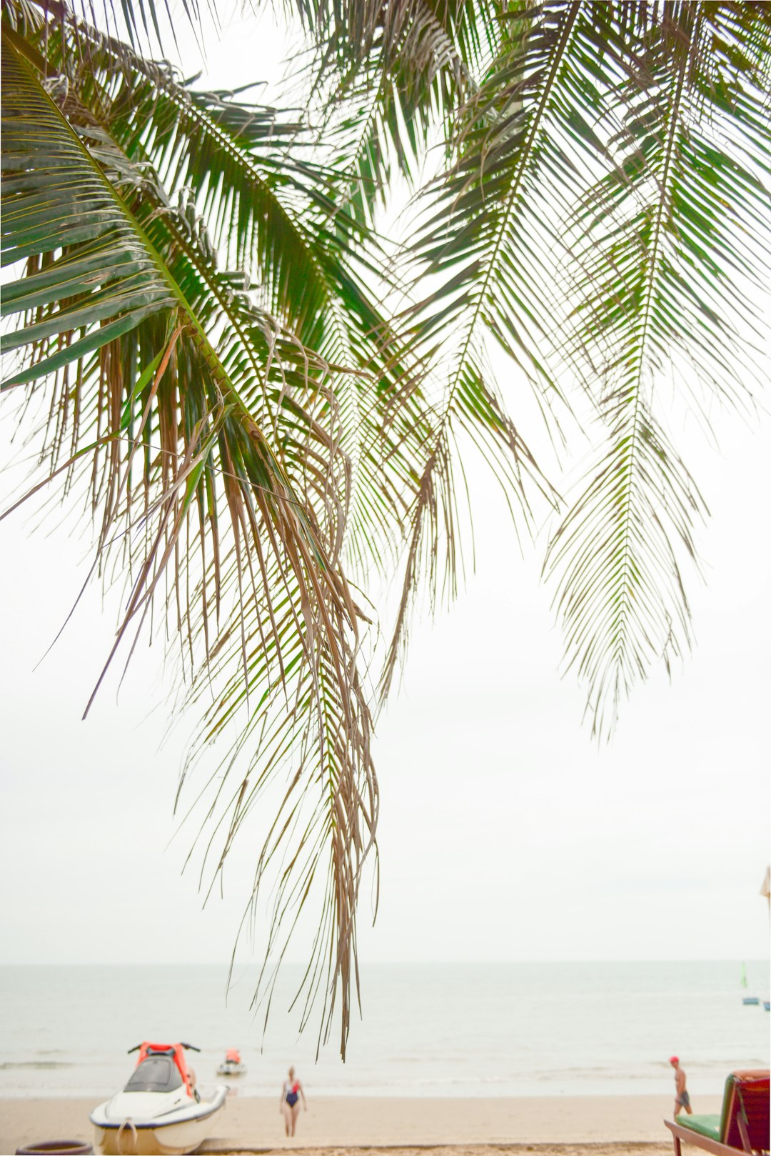 two person walking on shore beside white motor boat parked on shore beside palm tree beside