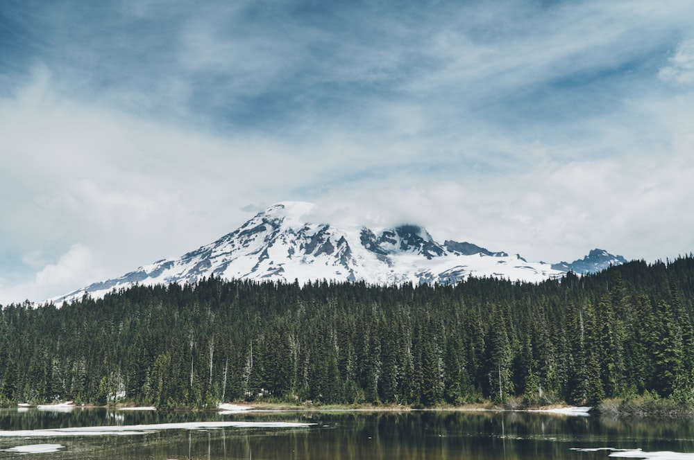 body of water beside trees and ice capped mountain in nature photography