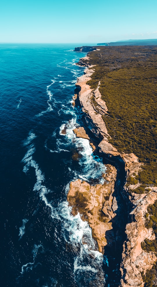 cliff beside sea during daytime in Coast Track Australia