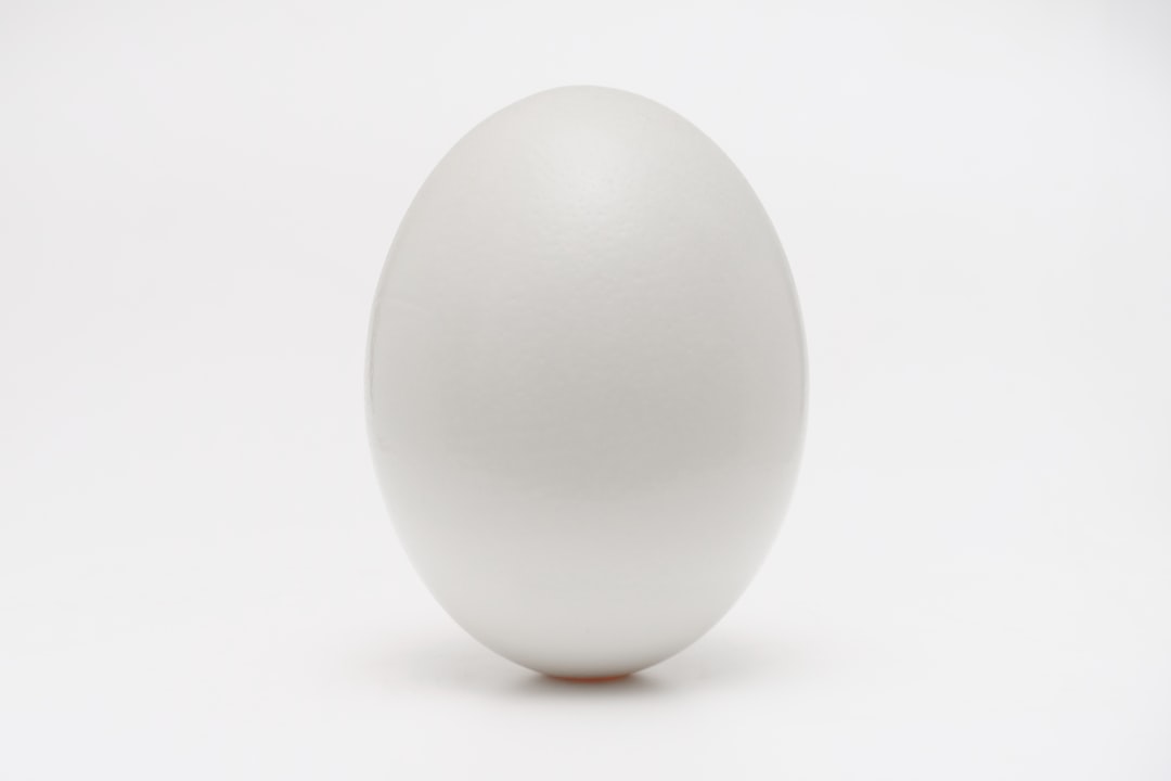 white egg on white surface