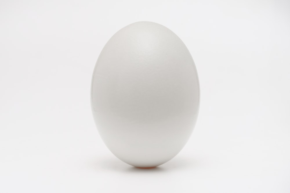 white egg on white surface