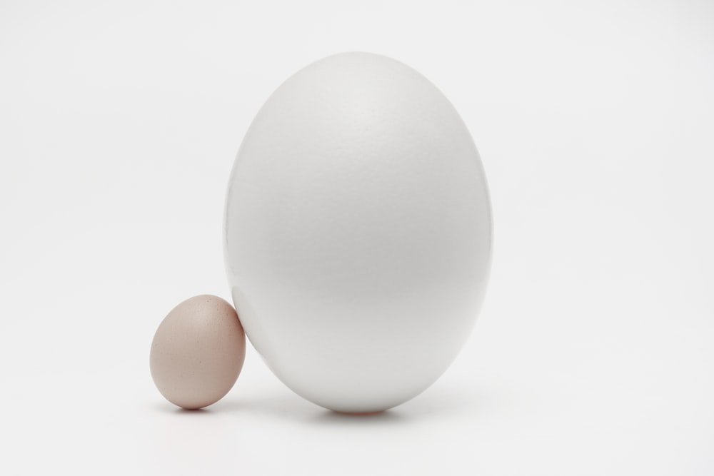 two white eggs