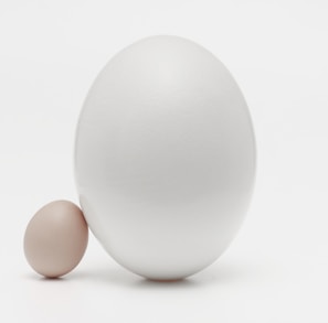 two white eggs