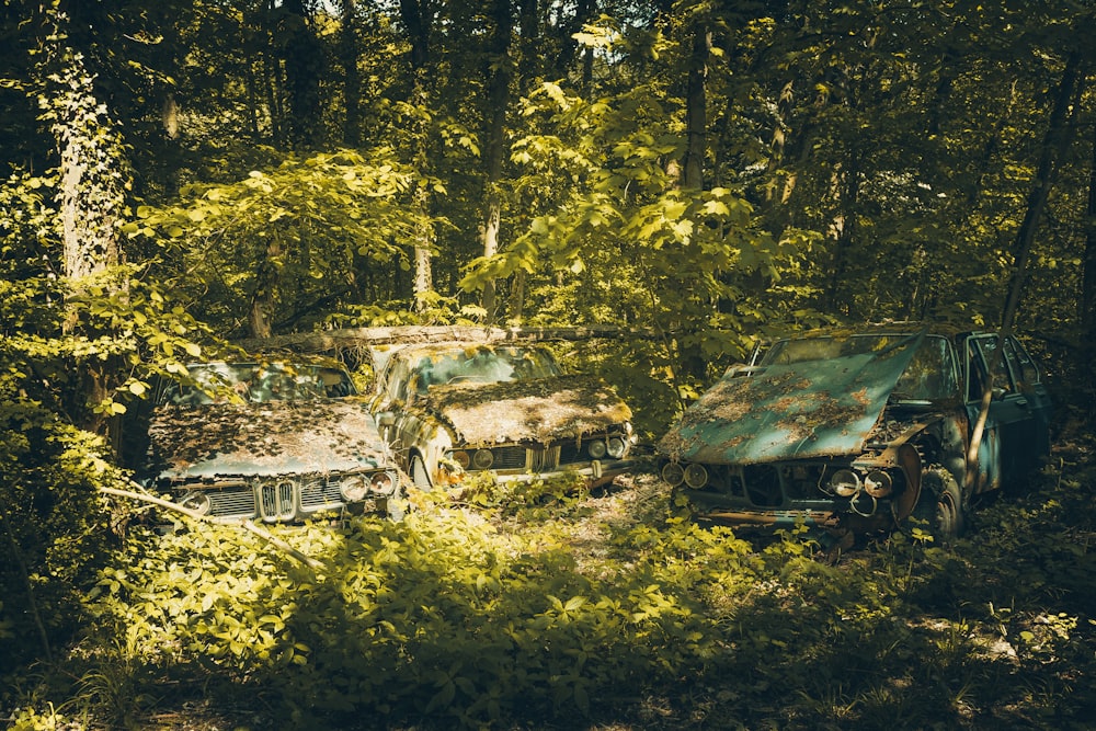 brown and green house under green trees