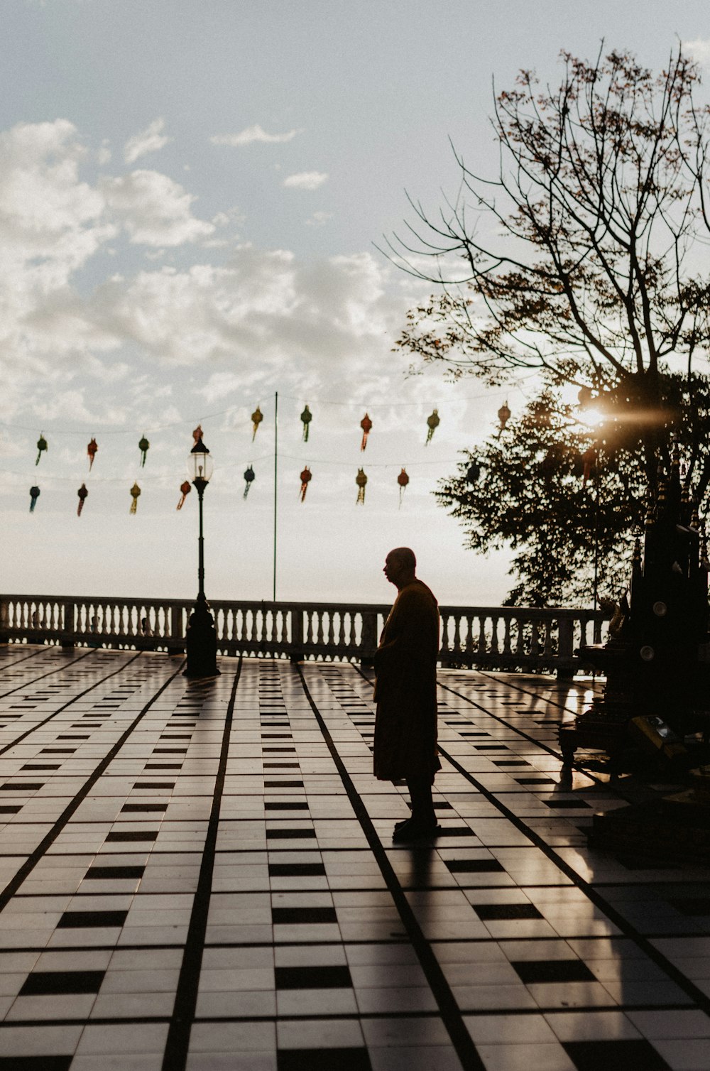 person standing near tree viewing body of water