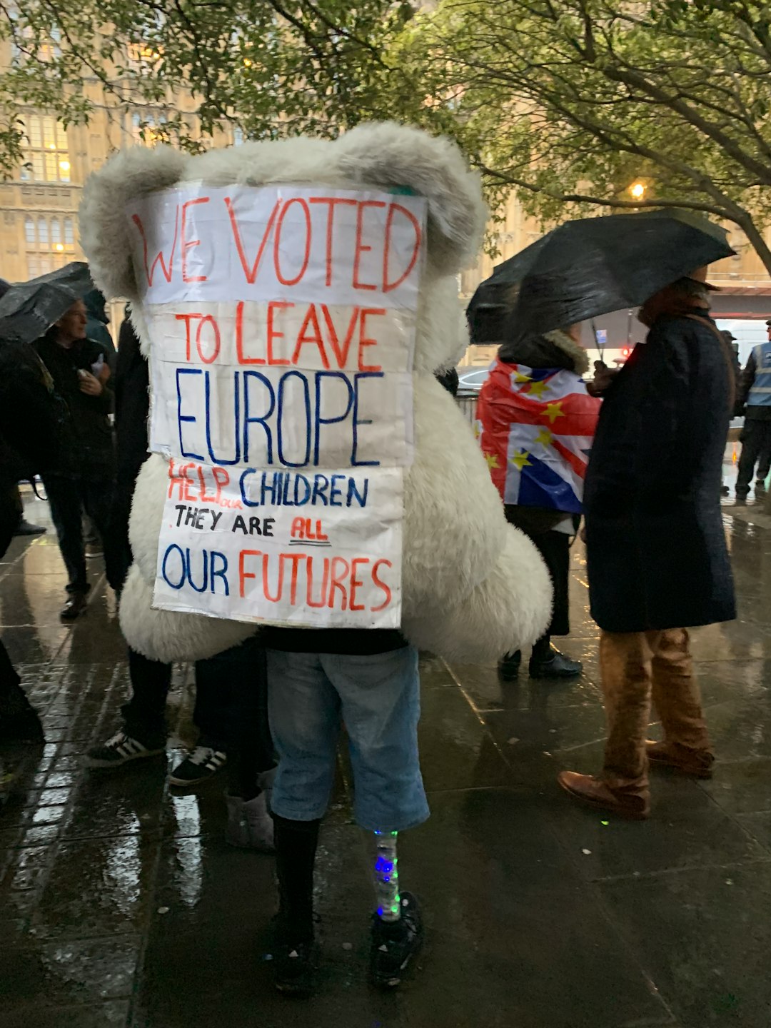 person holding we voted to leave Europe signage