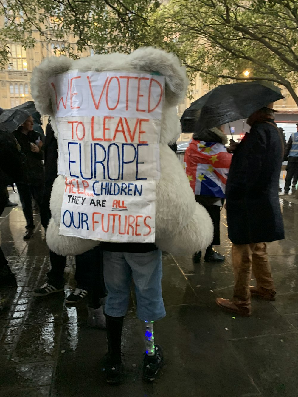 person holding we voted to leave Europe signage