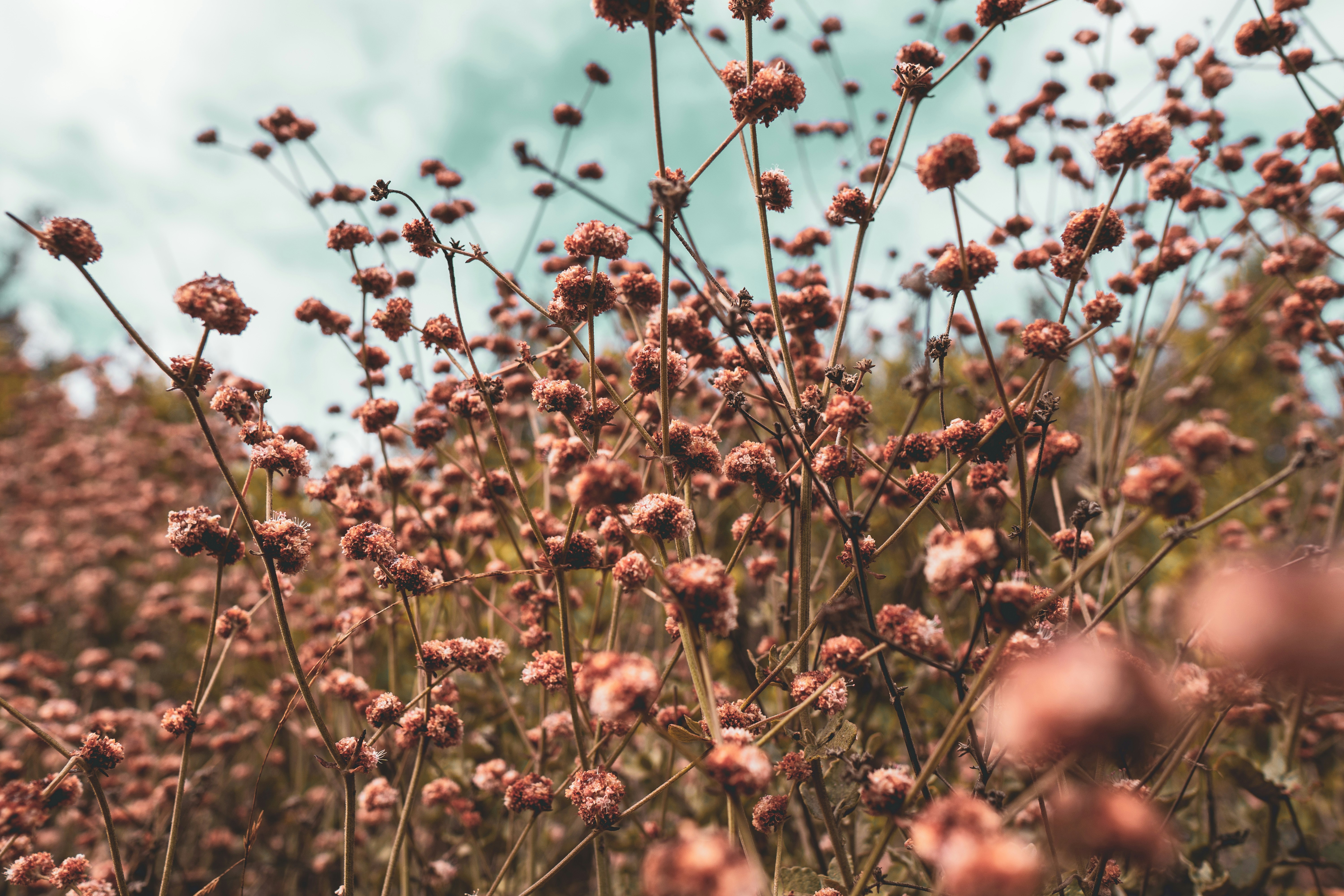 Photo by jsuarezphoto