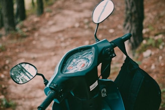 Close-up of a scooter's handlebars with a scenic backdrop.