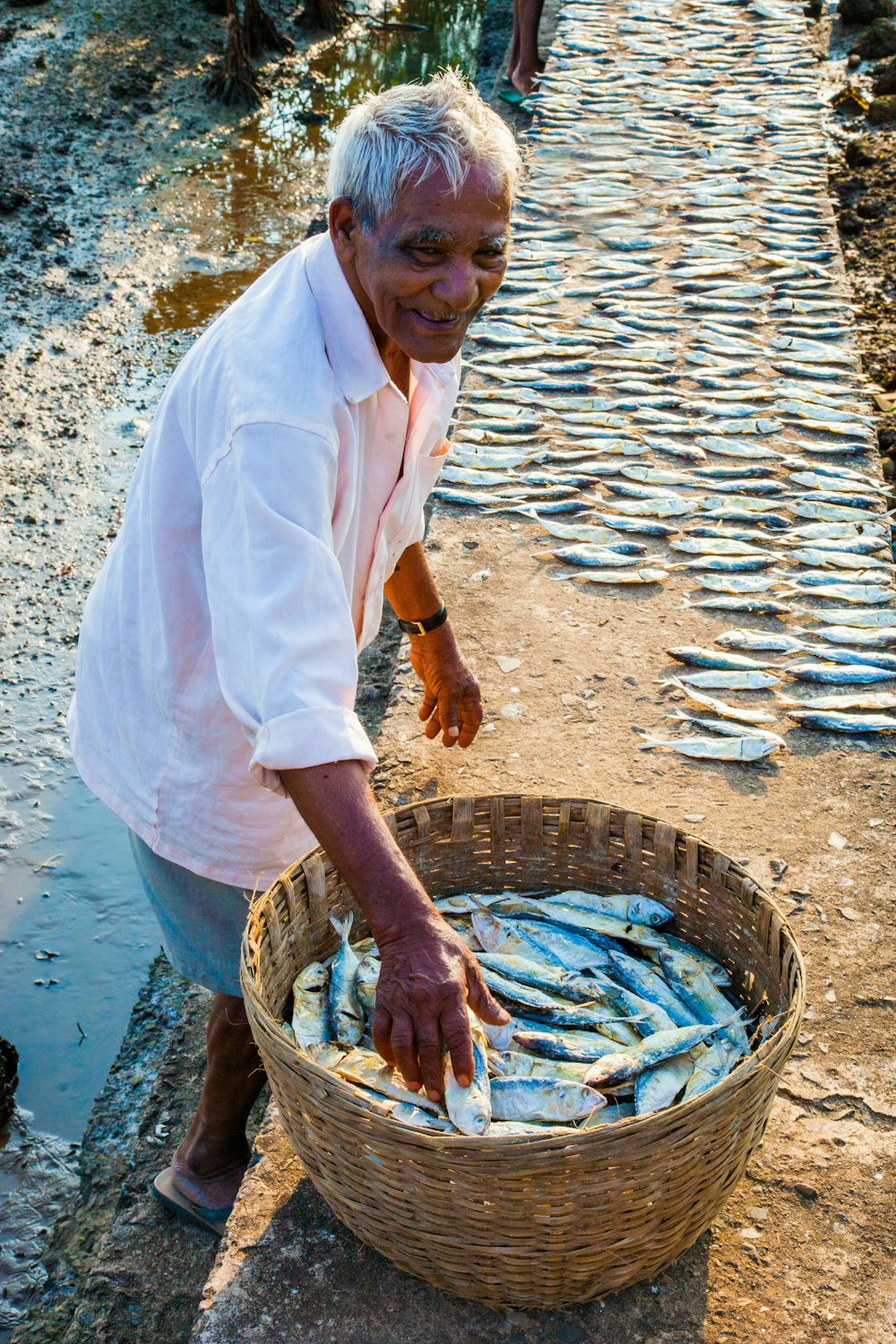 hombre con camisa blanca de manga larga sosteniendo un lote de peces grises '