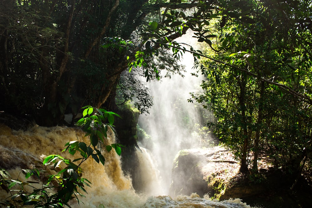 waterfalls during daytime