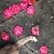 Bright pink flowers are scattered across a concrete surface. The tail of a cat, with a light brown color, is visible swishing by the flowers.