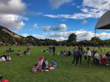 Families enjoying a picnic in a vibrant community park.