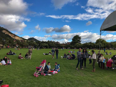 Students enjoying a picnic in Phoenix Park, Dublin, with smiles and laughter under clear blue skies.