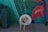 A small, scruffy dog wears a plastic cone around its neck while standing on a sidewalk. The background features a vibrant mural with green leaves and a large pink flower. Part of a person's leg is visible on the right side, suggesting a human presence holding the dog's leash.