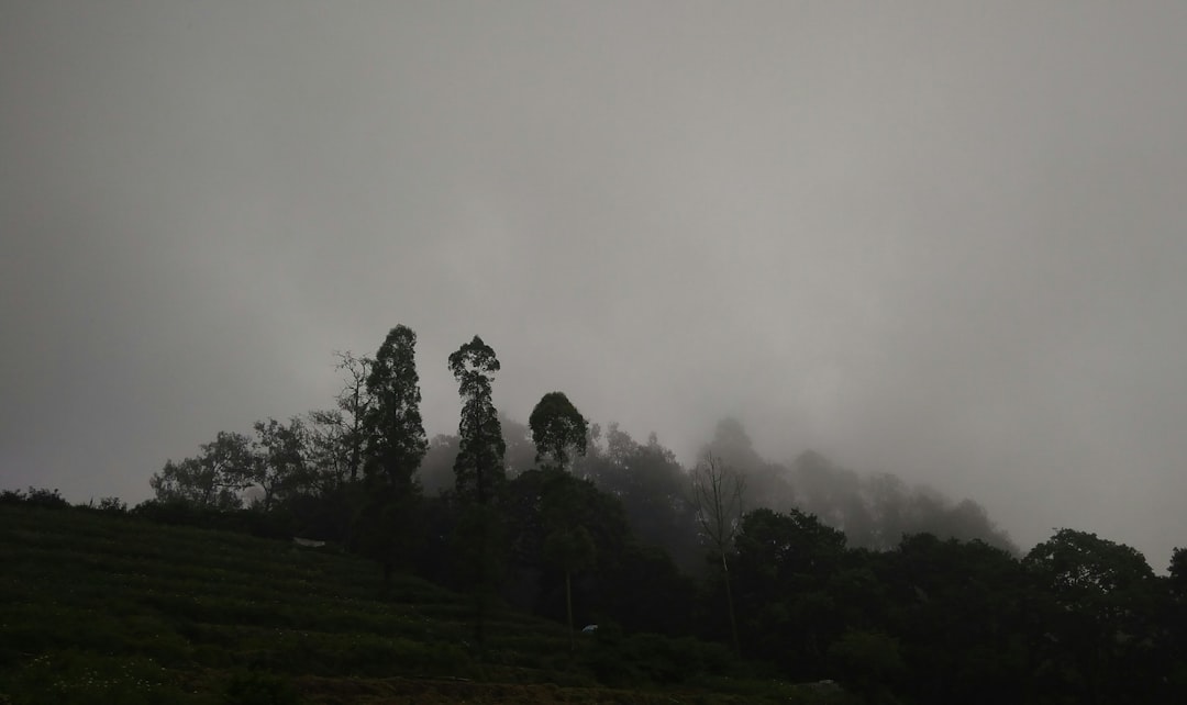 Hill station photo spot Jl. Raya Sumber Brantas Kediri