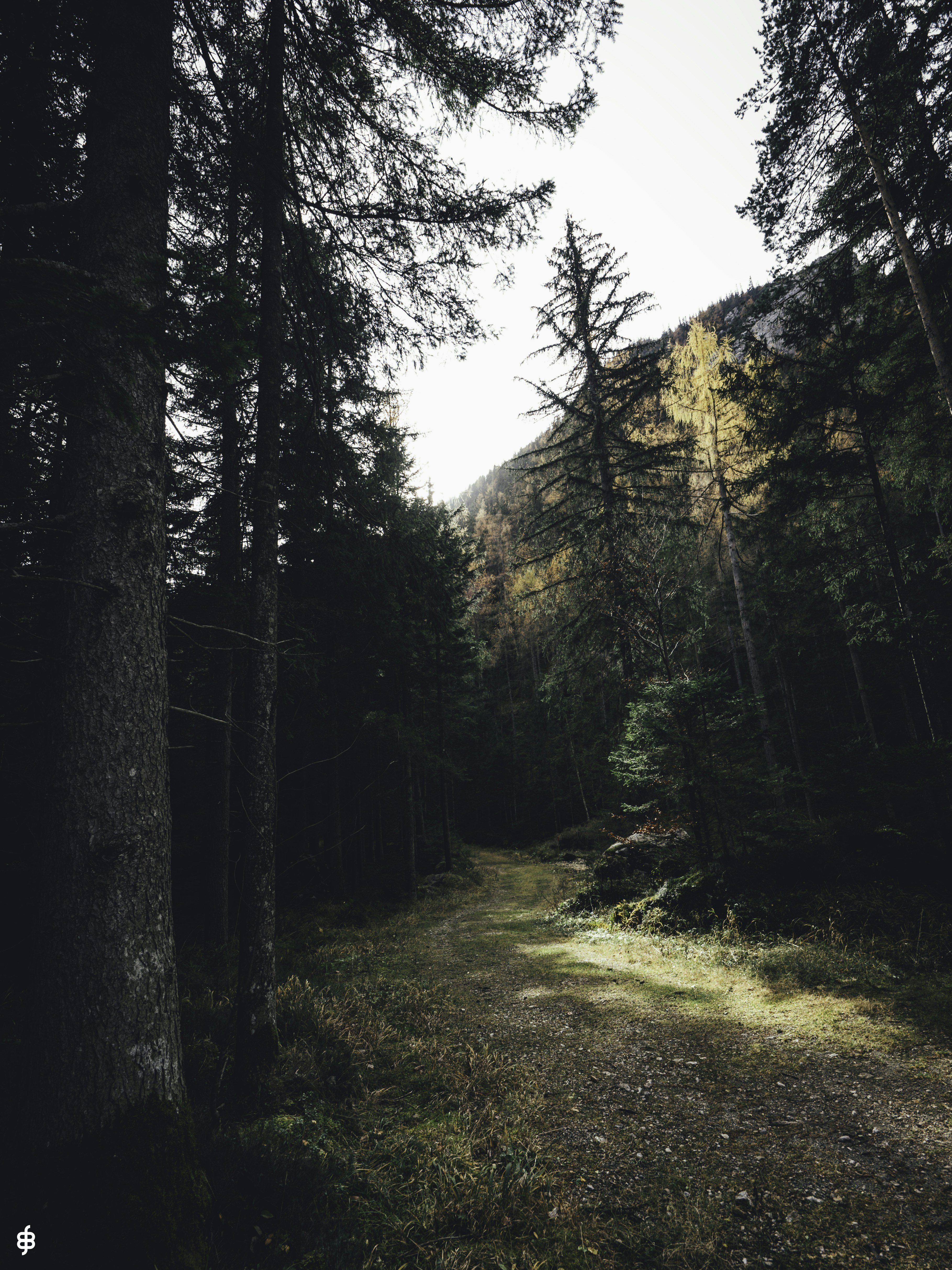 Photo by ballaschottner