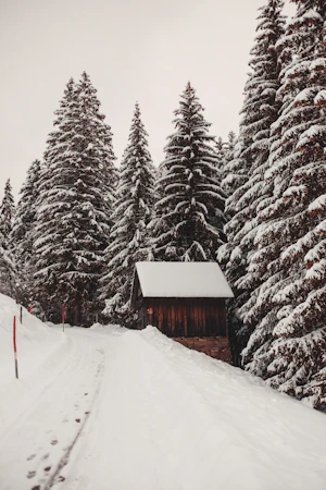 Brown house surrounded by snowy pine trees