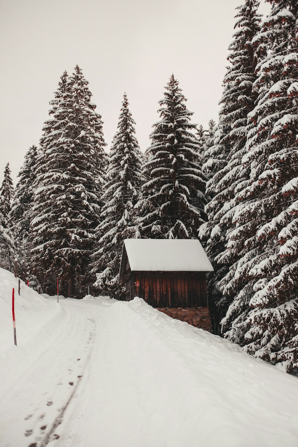 brown house surrounded by pine trees covered with snow