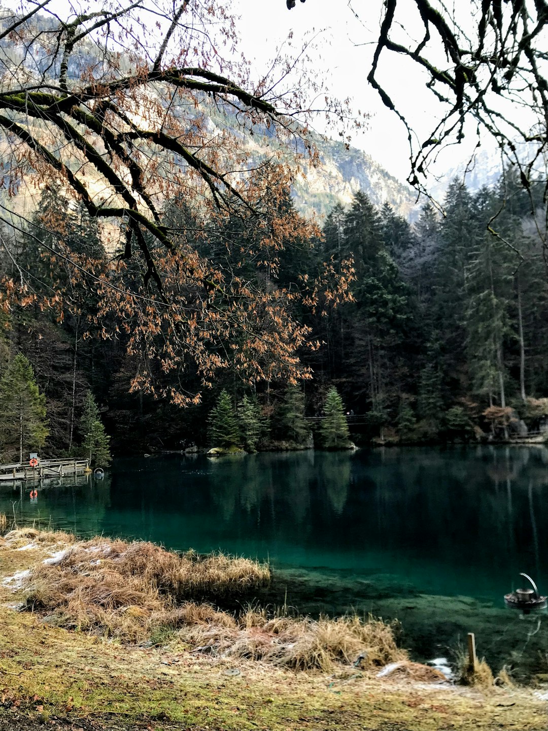 Lake photo spot Hotel Blausee 222 Grindelwald