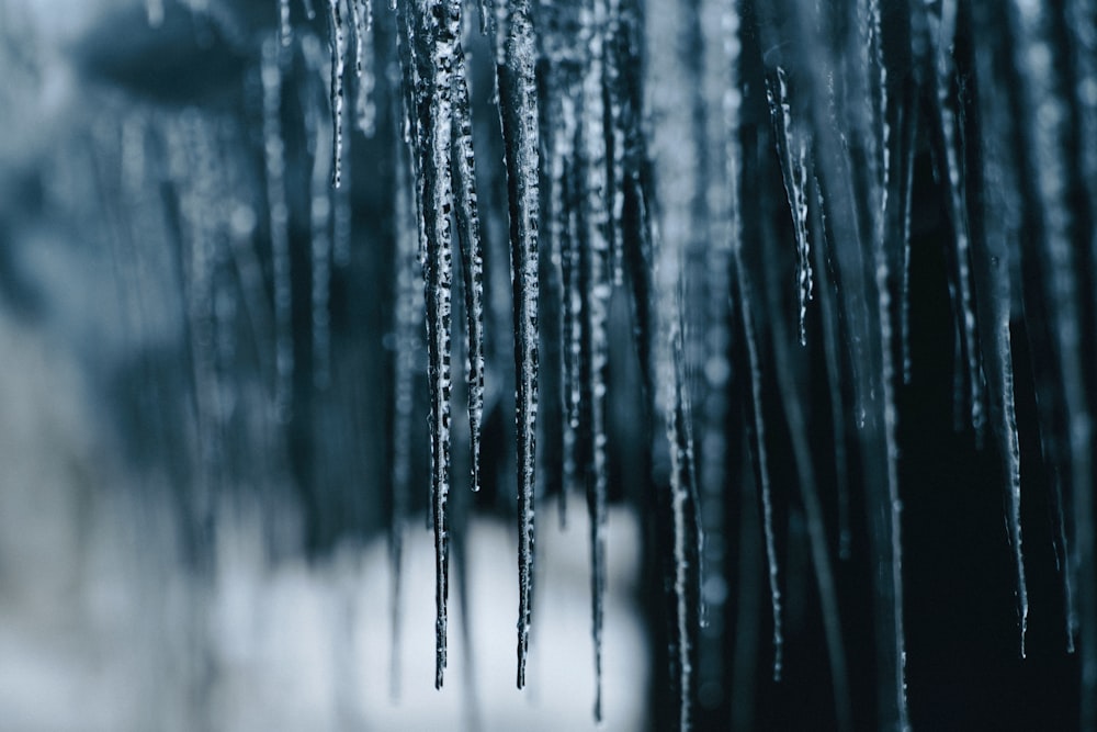 selective focus photography icicles