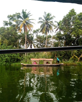 A serene landscape featuring a traditional boat with a canopy, navigated by a person, floats along a lush, green river. Tall palm trees and dense foliage form a vibrant backdrop, with reflections visible on the water's surface.