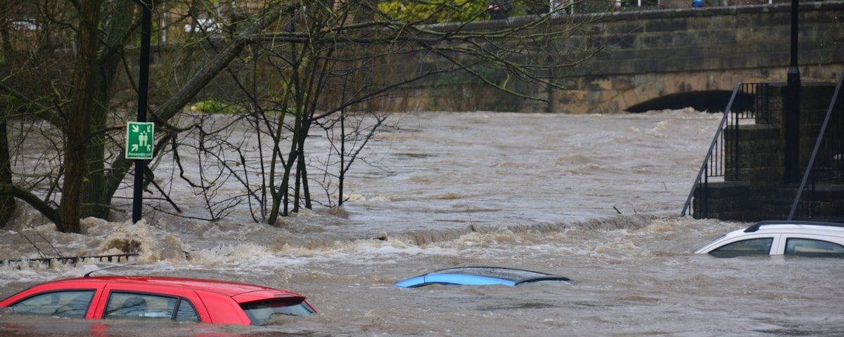 car on body of water