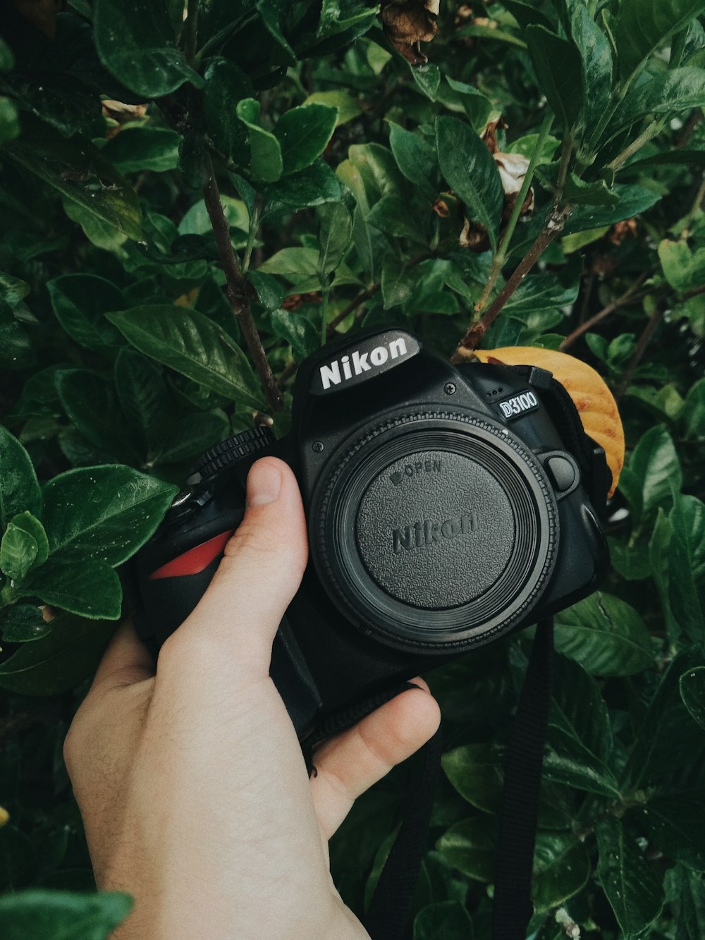 Nikon D3100 Pictures | Download Free Images on Unsplash