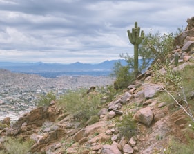 A rocky desert landscape featuring a tall saguaro cactus and scattered desert vegetation. The foreground is dominated by rough, rugged terrain with an assortment of rocks and sparse green shrubs. In the background, a sprawling cityscape can be seen with mountain ranges under a cloudy sky.