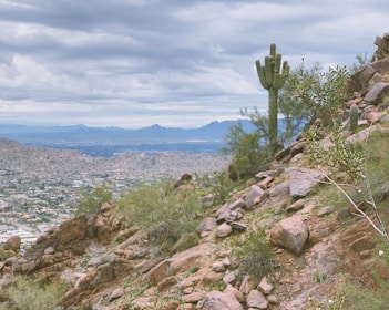 A rocky desert landscape featuring a tall saguaro cactus and scattered desert vegetation. The foreground is dominated by rough, rugged terrain with an assortment of rocks and sparse green shrubs. In the background, a sprawling cityscape can be seen with mountain ranges under a cloudy sky.