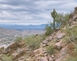 A rocky desert landscape featuring a tall saguaro cactus and scattered desert vegetation. The foreground is dominated by rough, rugged terrain with an assortment of rocks and sparse green shrubs. In the background, a sprawling cityscape can be seen with mountain ranges under a cloudy sky.