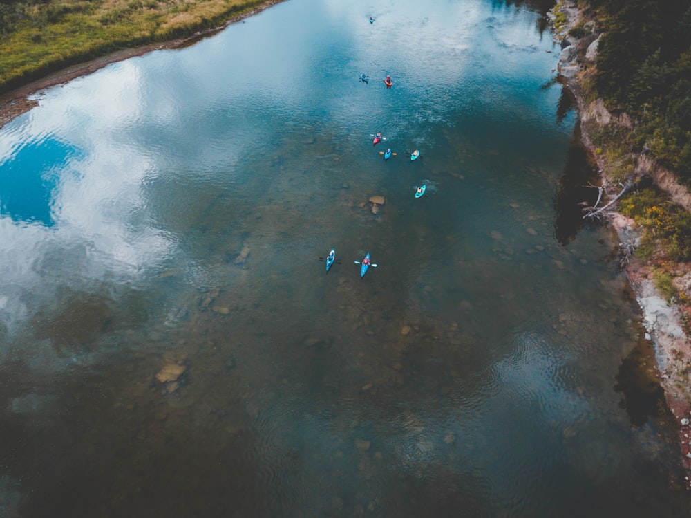 few people kayaking on river