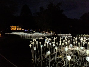 A community lit up at dusk powered by sustainable energy infrastructure