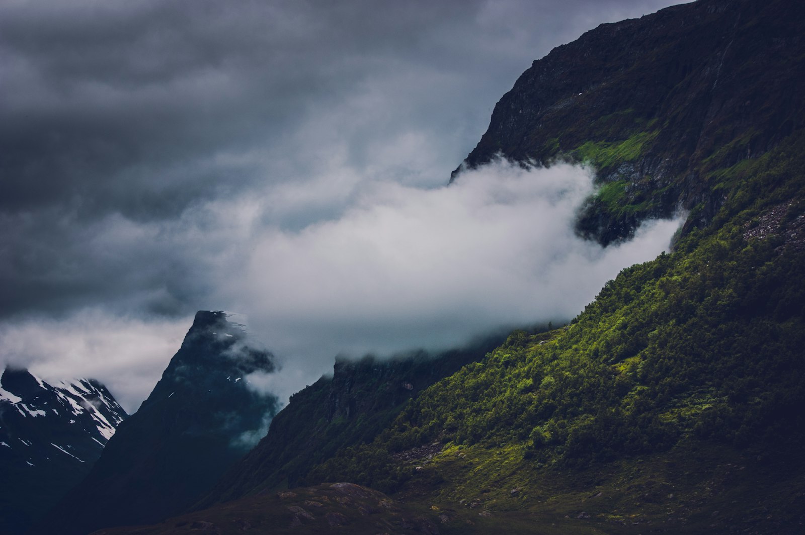 サーバー風景 1