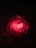 A glowing red rune pulsating with fiery energy on a dark background.
