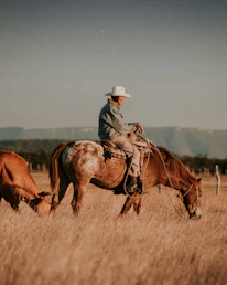 man riding horse on brown grass field during daytime